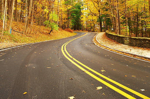 istock Autumn scene with road in forest 483246486