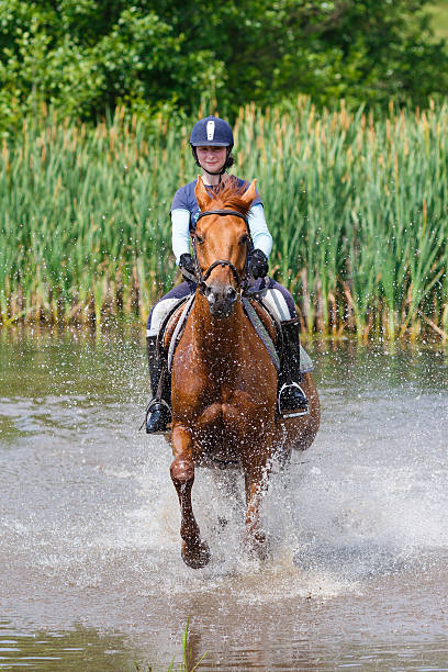 istock Horserider in the lake 483249848