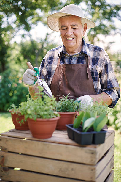 istock Finally I can pick up my herbs 483252674