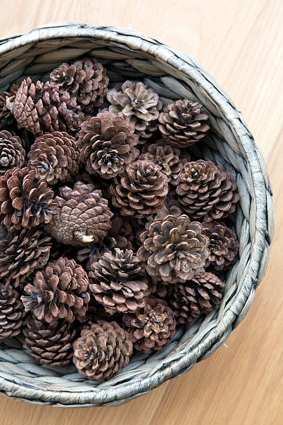 istock Cones ornament in woven bowl 483253046