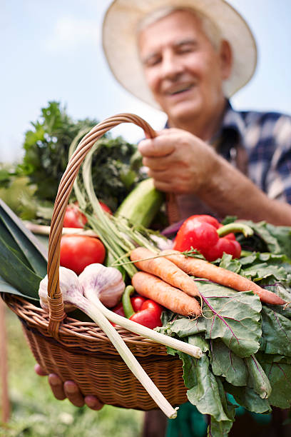 istock Raw vegetables are full of vitamins 483256794