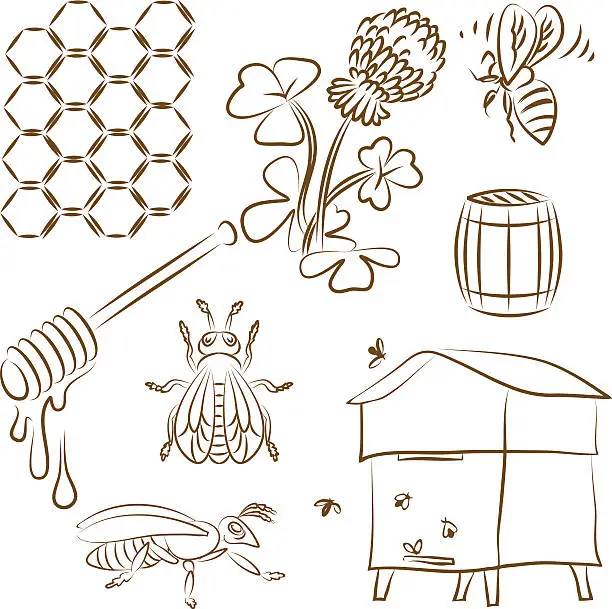 Vector illustration of Bee set