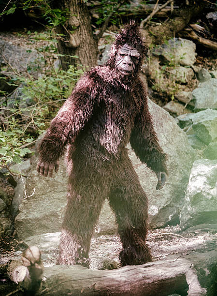 bigfoot in wild - monkey mask animal ape stock-fotos und bilder