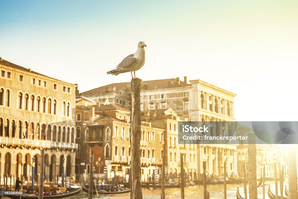 canal grande in Venedig - Lizenzfrei Abenddämmerung Stock-Foto