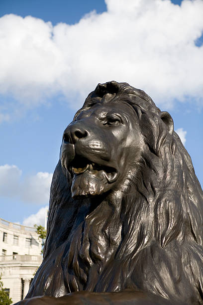 leone in trafalgar square, londra - lion statue london england trafalgar square foto e immagini stock