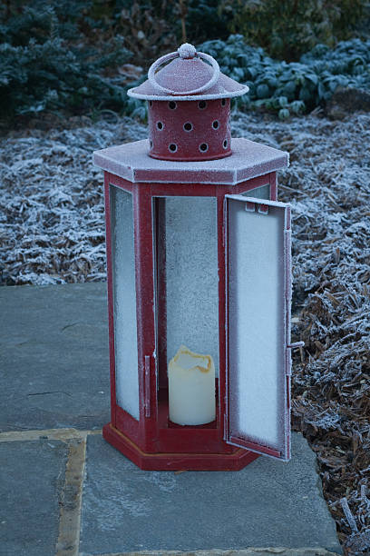 istock Red lantern covered in frost in the garden 483261069