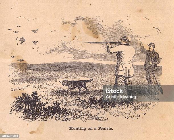 Schwarzweißillustrationen Von Jagd Auf Prairie Aus Dem 19 Jahrhundert Stock Vektor Art und mehr Bilder von Jagd