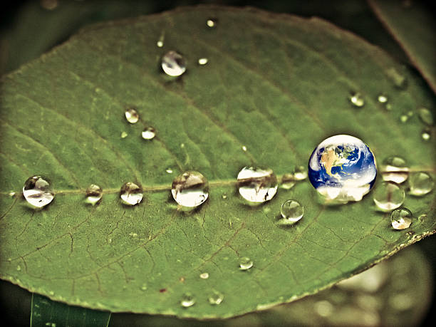 istock Green energy concept, Fresh Earth in a water drop 483261361