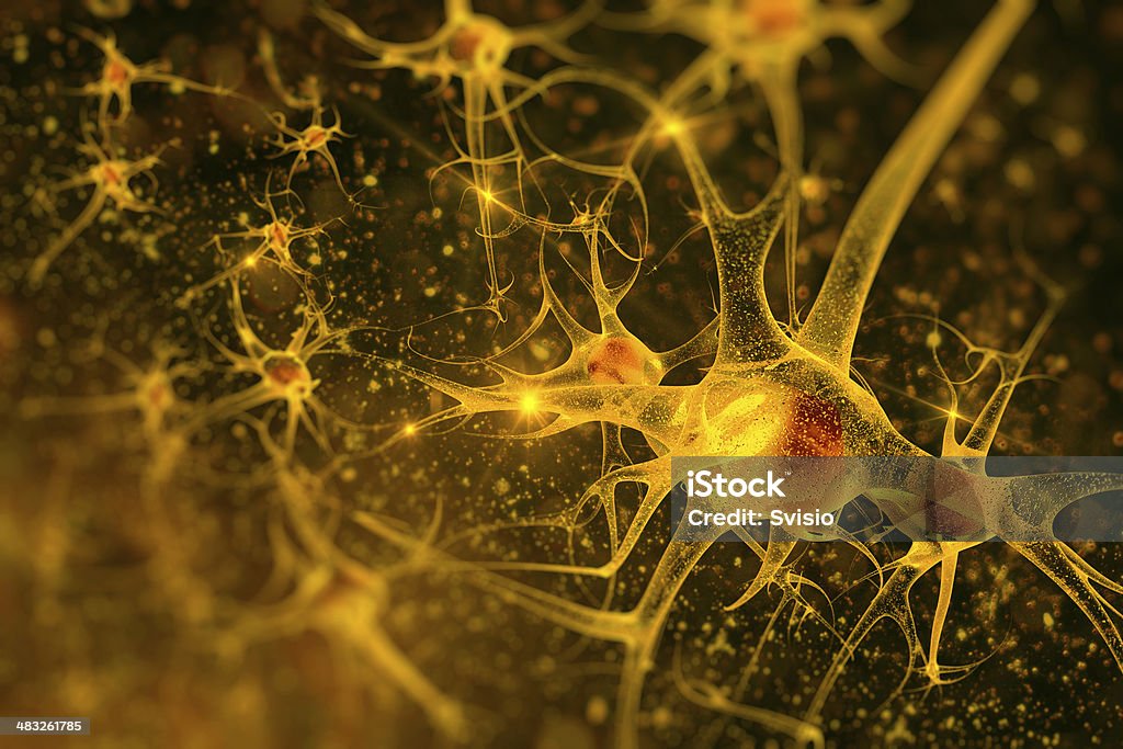 neurons digital illustration neurons Nerve Cell Stock Photo