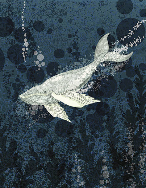 Flying Whale Under The Sea Flying Whale Under The Sea whale tale stock illustrations