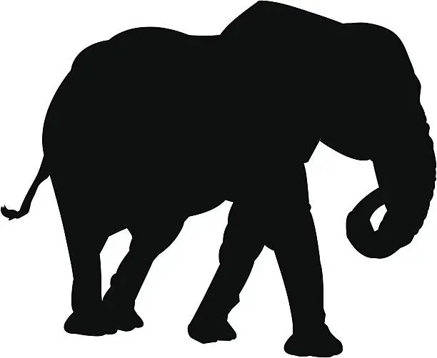 Vector illustration of Elephant Silhouette