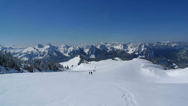 istock Snowshoeing Paradise, Mt. Rainier 483267330