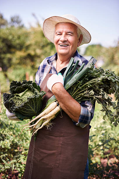istock In this summer my crops are abundant 483267520
