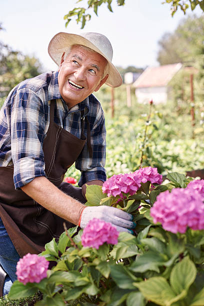 istock I must pick up some flowers to my vase 483270590