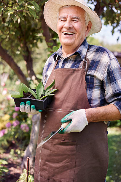 istock Next year I will have beautiful flowers 483270596