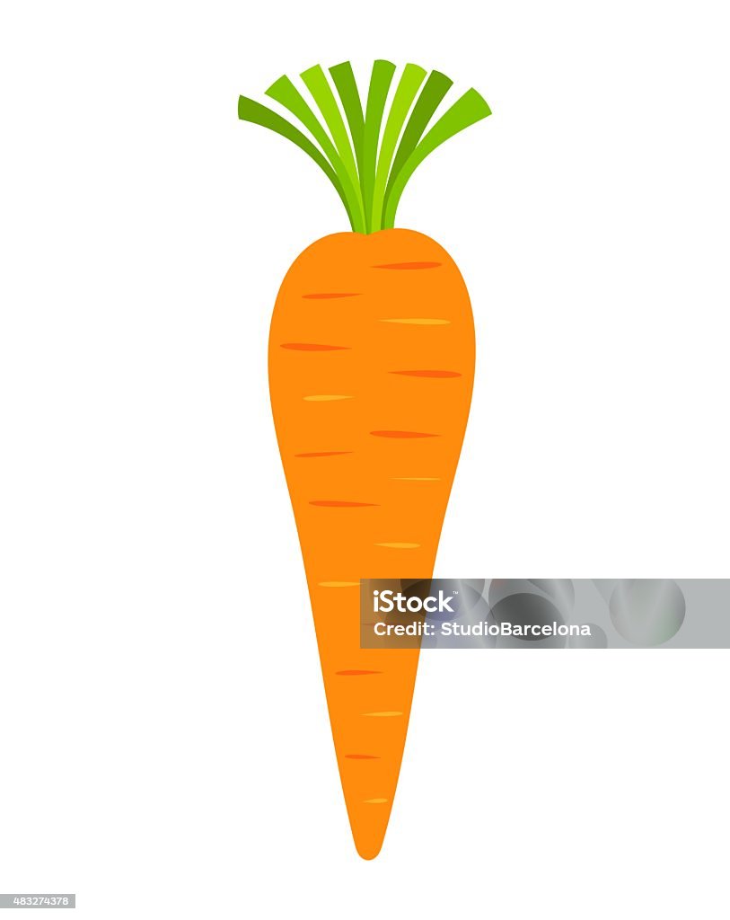 Carrot vector Carrot. Vector illustration Carrot stock vector