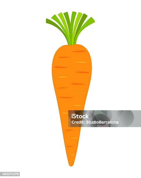 Carrot Vector Stock Illustration - Download Image Now - Carrot, 2015, Computer Graphic