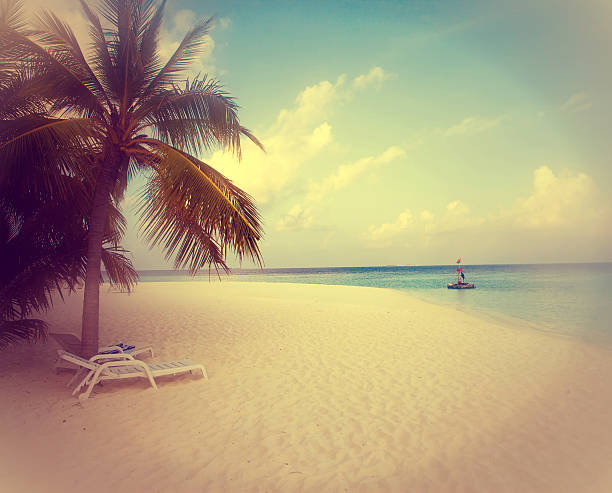istock beach chair on the seashore,with a retro effect 483274598
