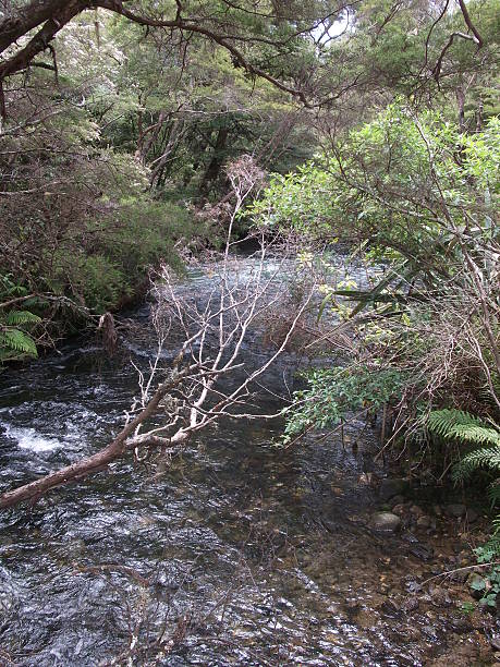 istock Lake, Takaka, New Zealand 483280390