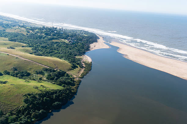 latające nad lagunę z widokiem na ocean - tugela river zdjęcia i obrazy z banku zdjęć