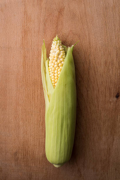 신선한 콘 - corn on the cob macro corn crop freshness 뉴스 사진 이미지