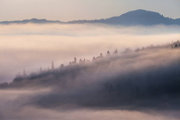 istock Beautiful sunrise with the morning mist 483282838
