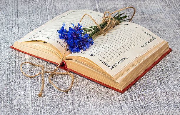 istock open book with a bunch of blue cornflowers 483284926