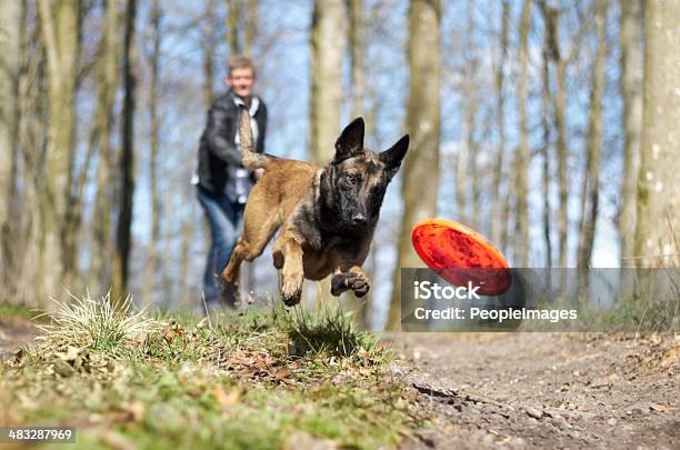 Divertimento Con Il Mio Amico A Quattro Zampe - Fotografie stock e altre immagini di Cane - Cane, Pastore Tedesco, Correre