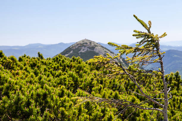 istock Pretty range of mountains, outdoors 483288322