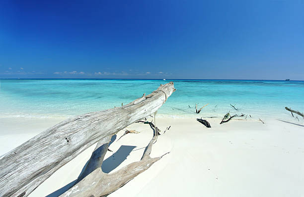 istock Timber On The Beach and Blue Sea 483288920