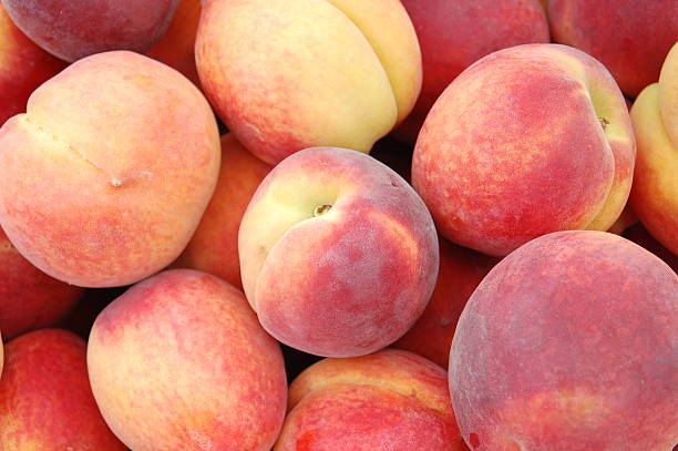 istock Peaches ripe and ready for sale 483289618