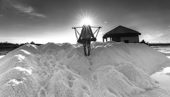 In Khanh Hoa, Vietnam, June 30, 2015: Farmers are pouring salt into the salt pile of salt on summer afternoons when the sun across the top of Hon Khoi salt field, Khanh Hoa, Vietnam