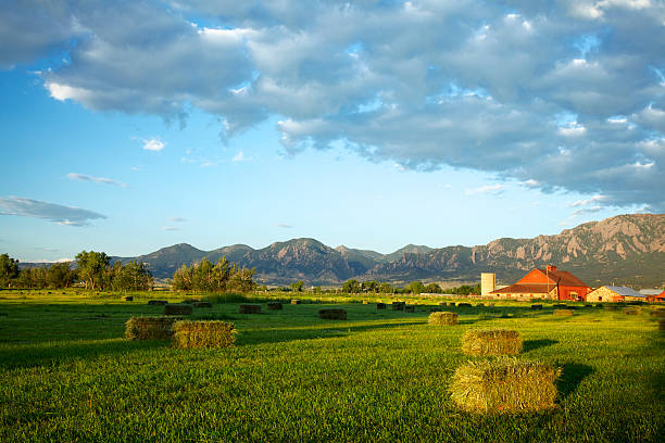 레드 우리 at 썬라이즈 - flatirons colorado boulder mountain range 뉴스 사진 이미지