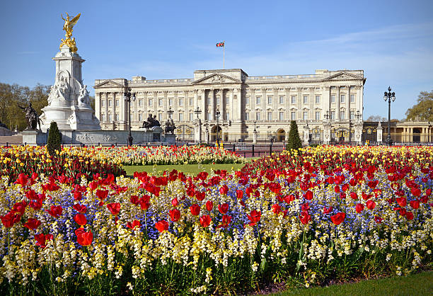 Buckingham Palace London,UK - May 12th 2013:Buckingham Palace with foreground spring flower beds in full bloom buckingham palace photos stock pictures, royalty-free photos & images