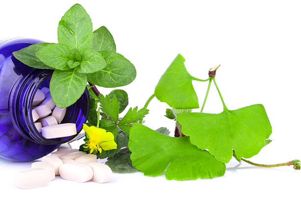 medycyna niekonwencjonalna: herb odmian roślin i torebki na białym tle - herbal medicine ginkgo herb capsule zdjęcia i obrazy z banku zdjęć