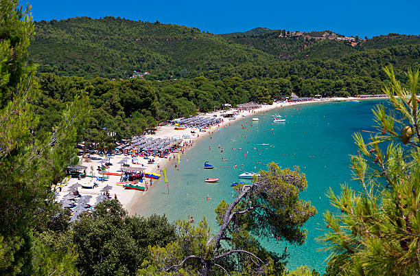 istock Skiathos island in Greece 483291917