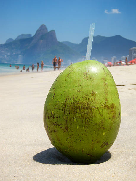 istock Fresh Coconut Ice Drinking Coconut Ipanema Beach Rio de Janeiro 483292049