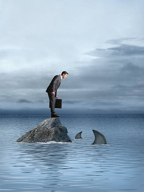 uomo d'affari che guarda al squali che egli è nel gruppo rock - storm sea business uncertainty foto e immagini stock