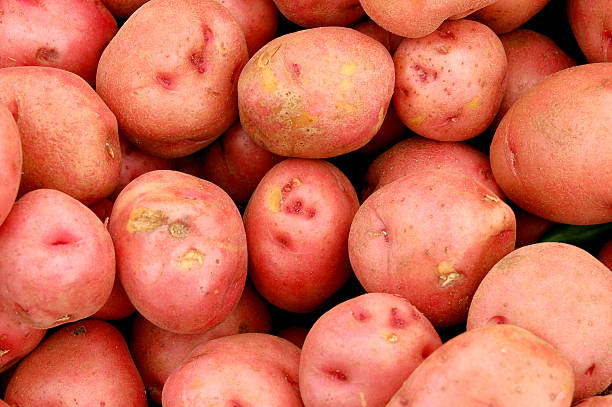 istock Red potatoes in a pile ready to be cooked 483296942