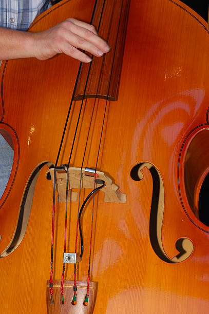 istock Double bass being played by someone 483296954