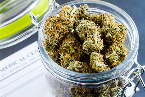 istock Medical Marijuana Buds on Black Background 483300732