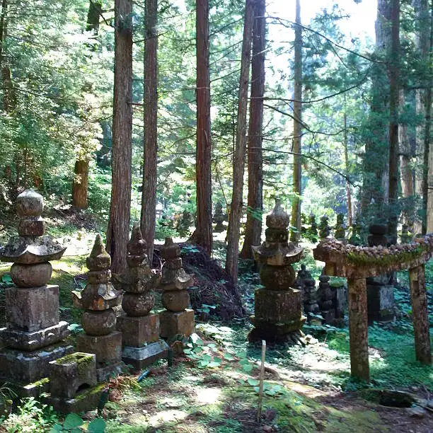 Stone markers and torii in the Okunoin Cemetery forest, Koyasan, Wakayama Prefecture, Japan. Photographed in May, 2015.