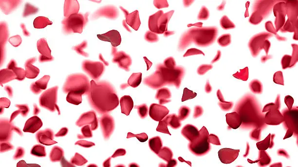 Photo of rose petals falling