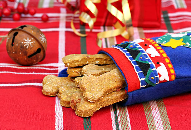 cane biscotti con zucca e pancetta nella calza della befana - biscuit red blue macro foto e immagini stock