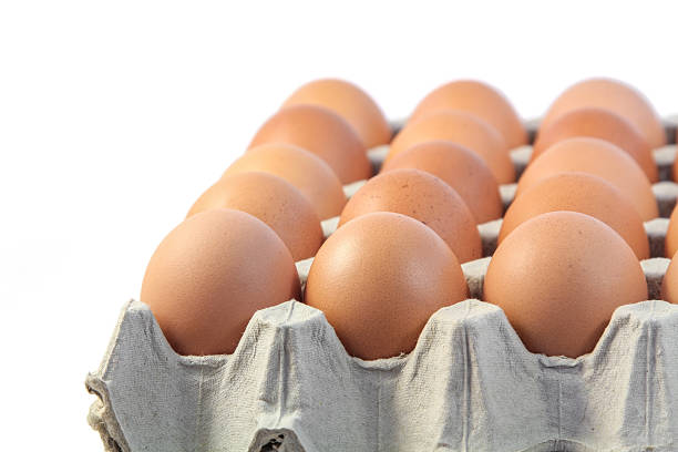 galinha frescas, ovos em papel bandeja em fundo branco - cholesterol ellipse shell box - fotografias e filmes do acervo