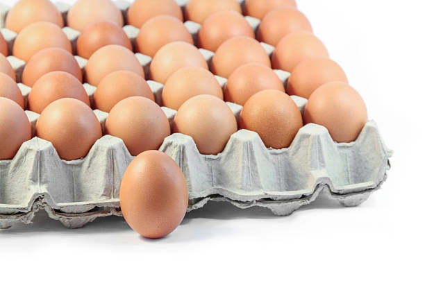 frische hen eier auf weißem hintergrund - cholesterol ellipse shell box stock-fotos und bilder