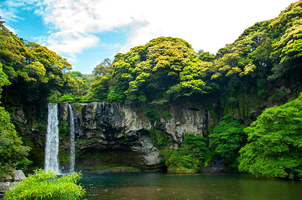 Cheonjiyeon Waterfall is a waterfall on Jeju Island, South Korea. The name Cheonjiyeon means sky. This picture could be use in promoting the place.