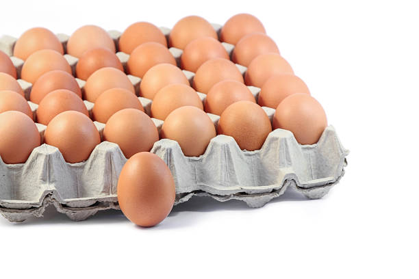 frango e ovos no fundo branco. - cholesterol ellipse shell box - fotografias e filmes do acervo