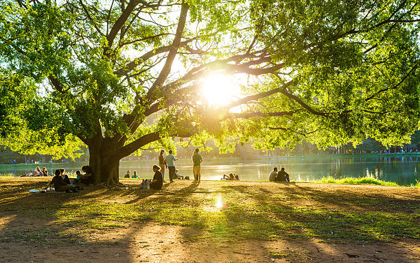 Beautiful day in Ibirapuera Park in Sao Paulo, Brazil Sao Paulo, Brazil - August 3, 2014: People enjoying a beautiful day in Ibirapuera Park in Sao Paulo, Brazil ibirapuera park stock pictures, royalty-free photos & images