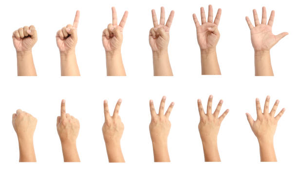 istock Man hand show the number 483313120